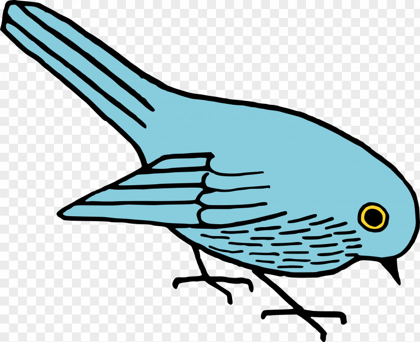 Quail Bird Clip Art PNG
