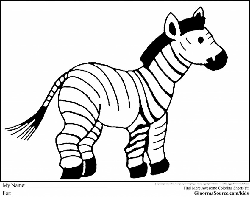 Zebra Coloring Book Horses Foal Drawing PNG