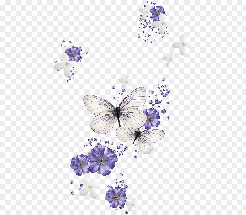 Butterfly Desktop Wallpaper Color Clip Art PNG