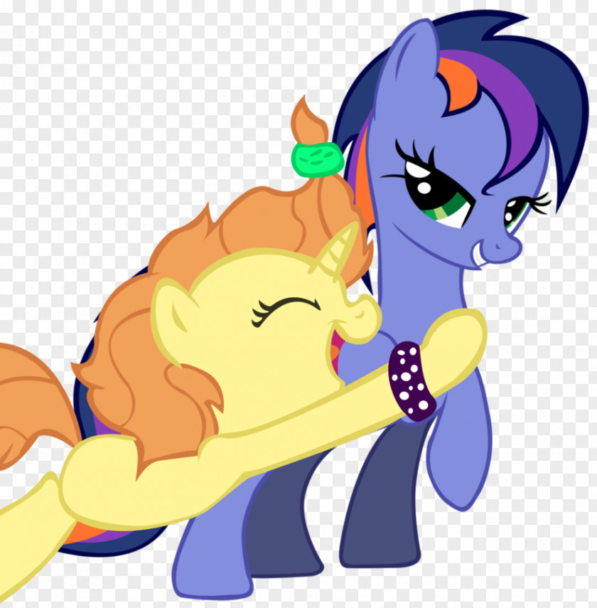 Cat Twilight Sparkle Rainbow Dash Pony Applejack PNG