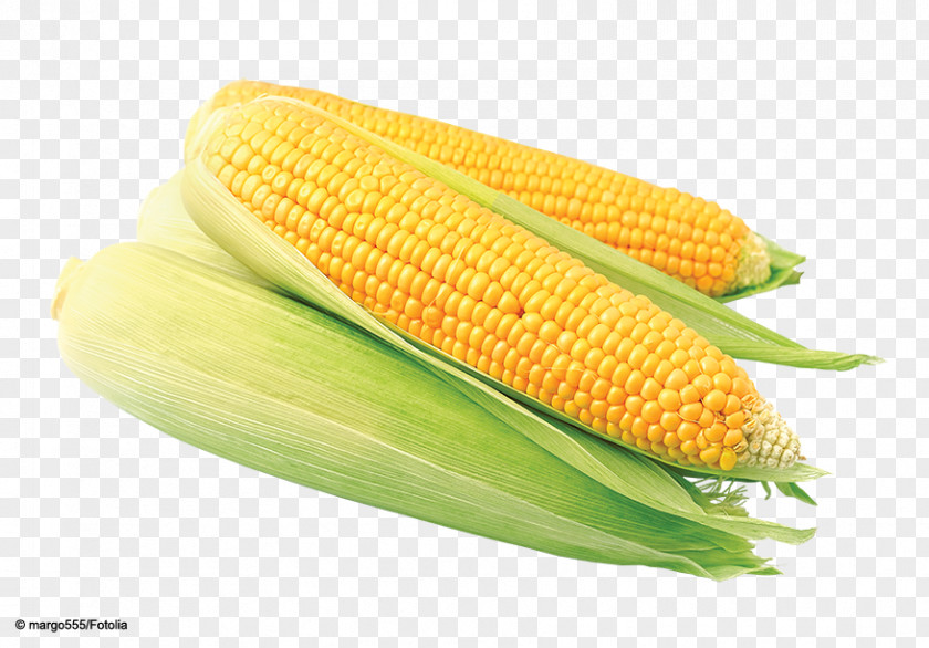 Corn On The Cob Sweet Maize Kernel Food PNG