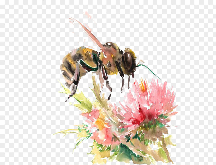 Flowers Bee Watercolor: Watercolor Painting Drawing PNG