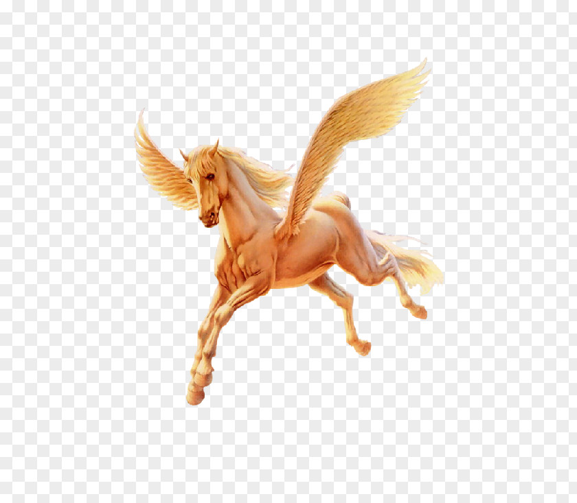 Flying Horse Pegasus Unicorn PNG
