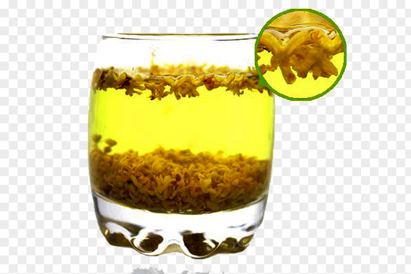 Golden Osmanthus Tea Flowering Green Chrysanthemum Oolong PNG