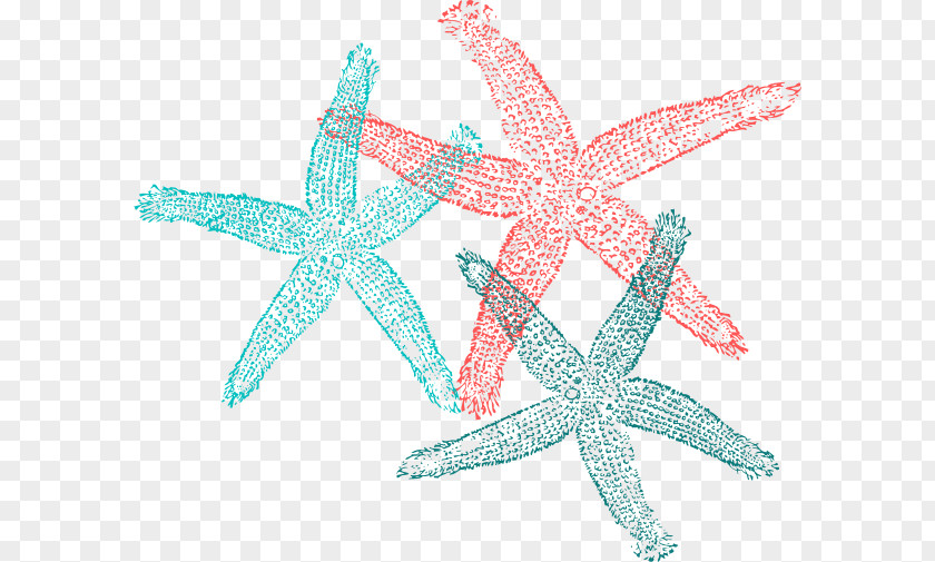 Starfish Clip Art PNG