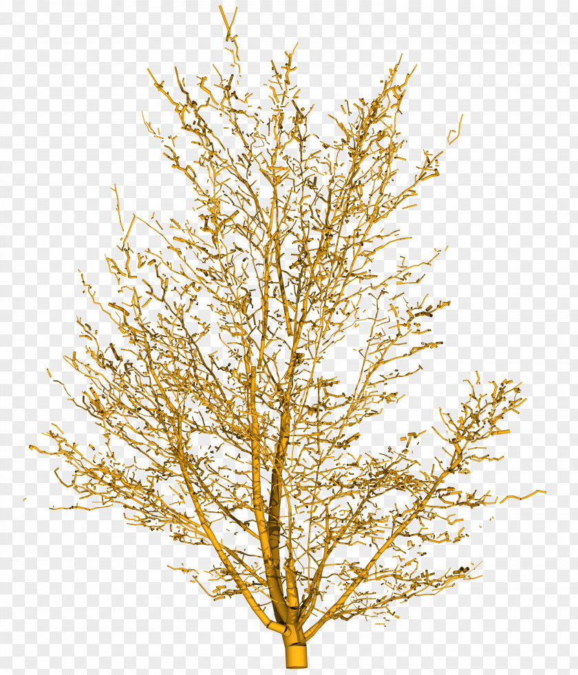 Tree Branch Yellow Shrub PNG