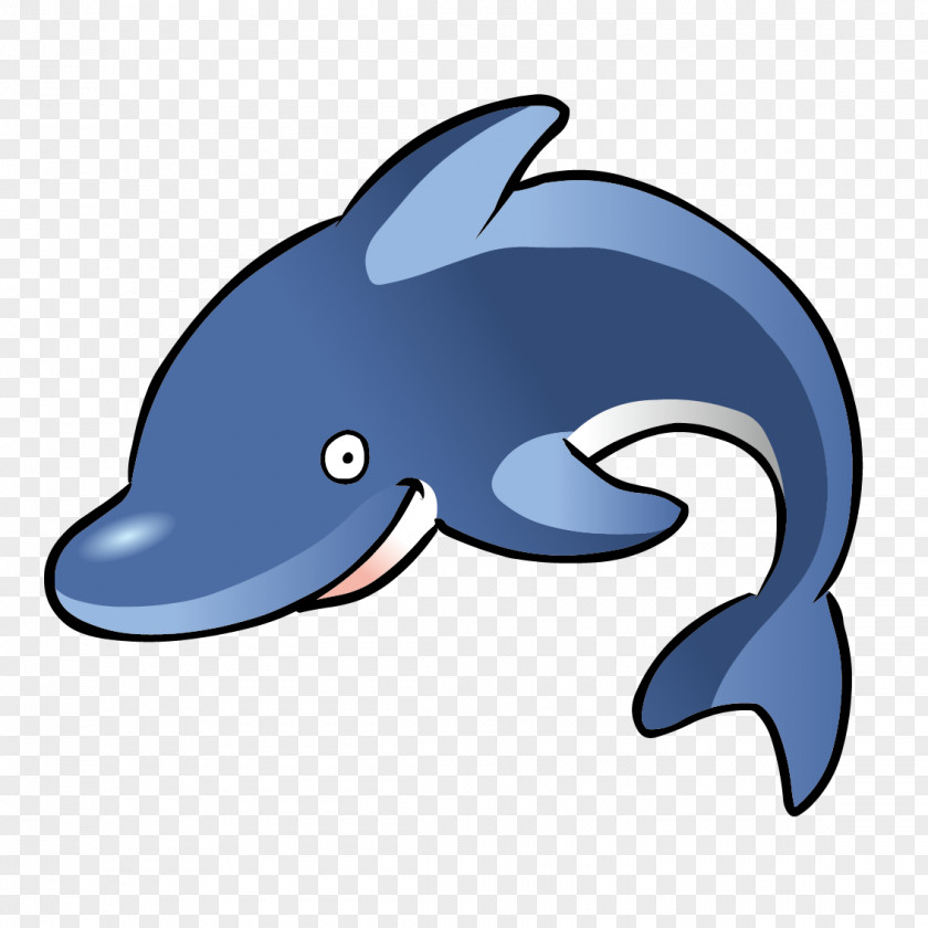 Vector Blue Whale Spinner Dolphin Free Content Clip Art PNG