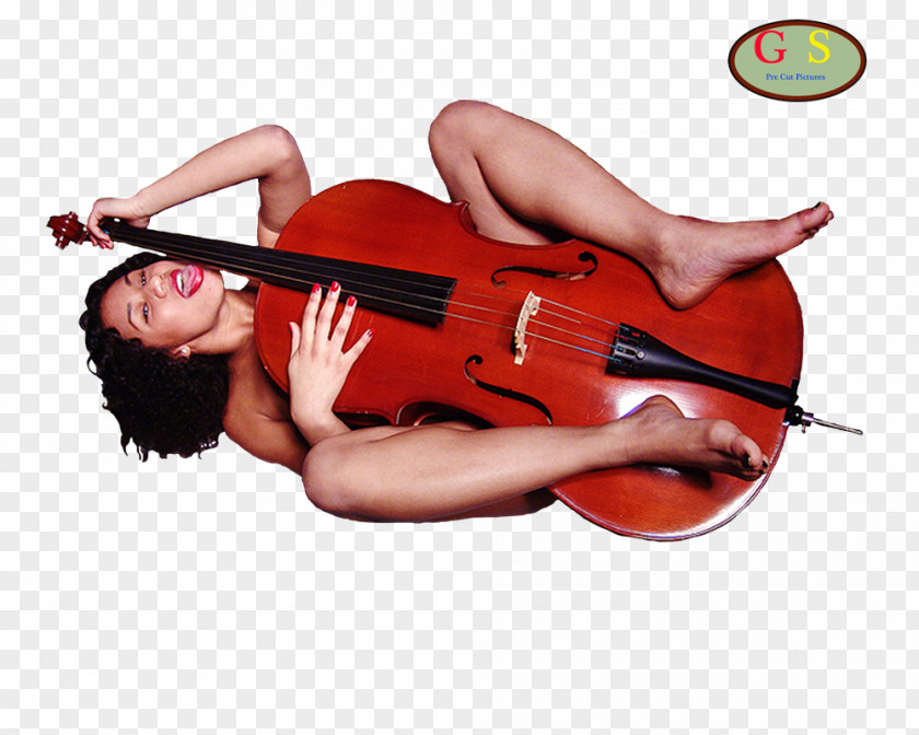 Violin Cello Viola Double Bass PNG