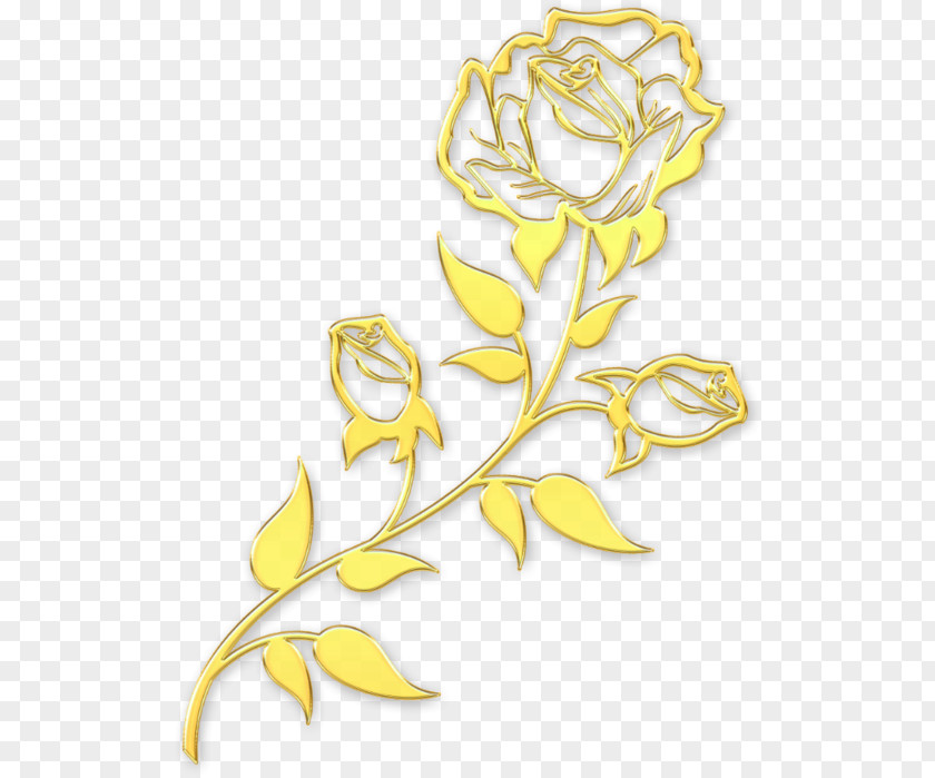 Wedding Convite Floral Design PNG