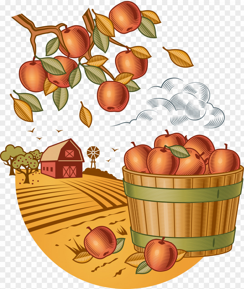 Harvest Cartoon Royalty-free PNG