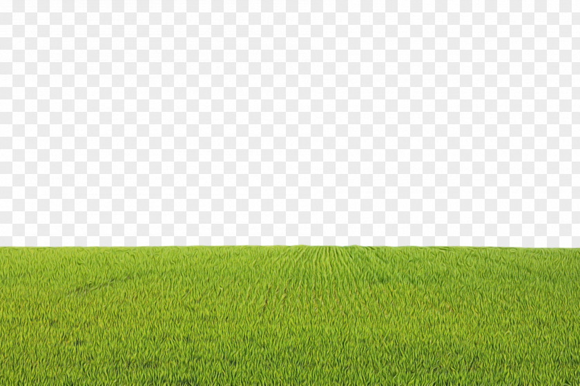 Land Lot Prairie Grassland Green Field Grass Meadow PNG