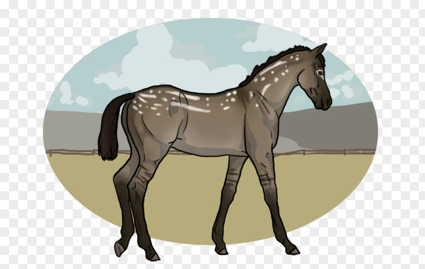 Mustang Foal Stallion Mare Rein Colt PNG