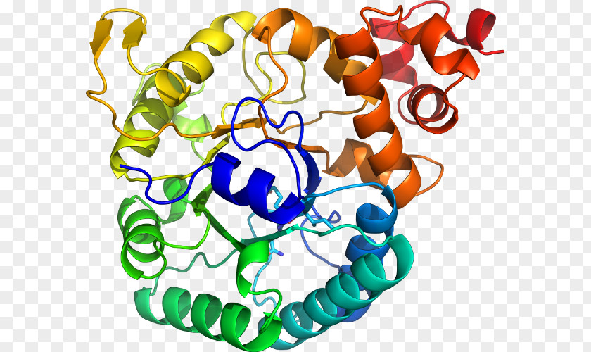 Ribulose 15bisphosphate Clip Art Product Organism Line Special Olympics Area M PNG