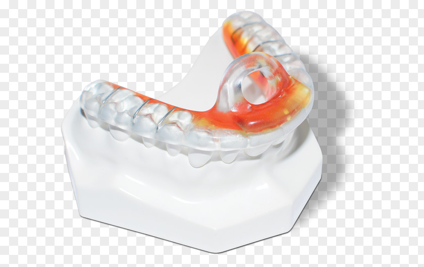 Supine Position Mandible Bite Registration Tooth Temporomandibular Joint PNG