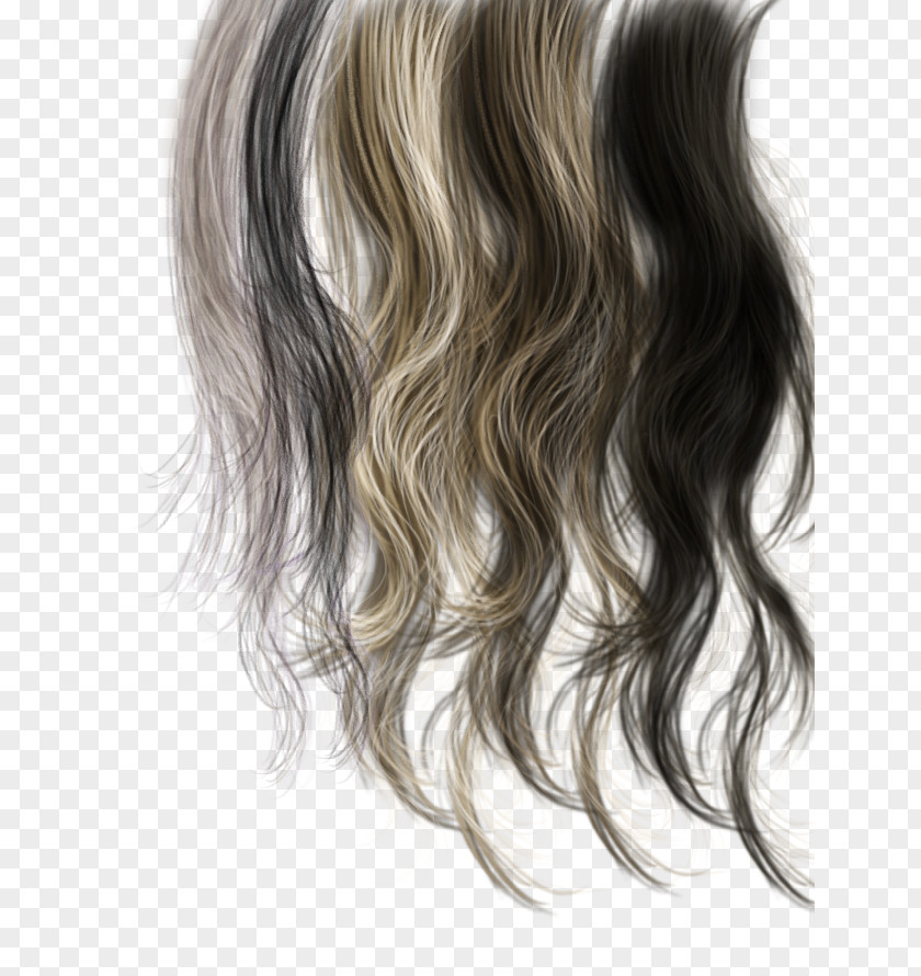 Various Colors Of Hair Hairstyle Afro-textured Hairdresser PNG