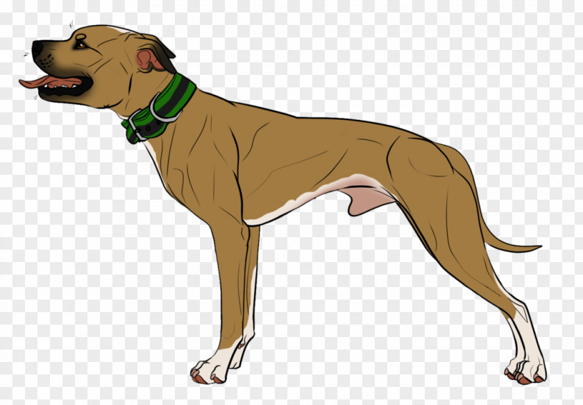 American Bully Kennel Logos Dog Breed Italian Greyhound Azawakh Leash PNG