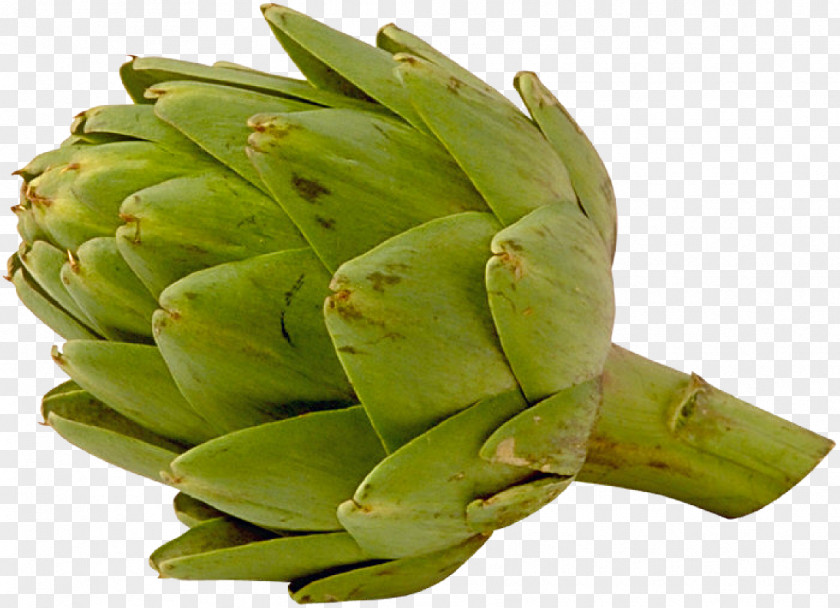 Artichokes Artichoke Animation Vegetable Food PNG