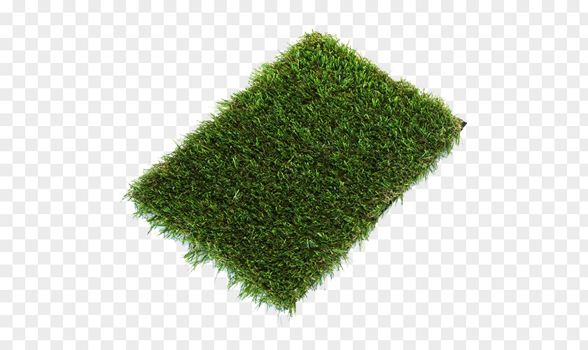 Fake Grass Artificial Turf Lawn Garden Fitted Carpet Thatch PNG