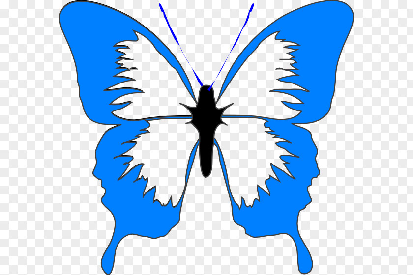 Free Butterfly Clip Art PNG