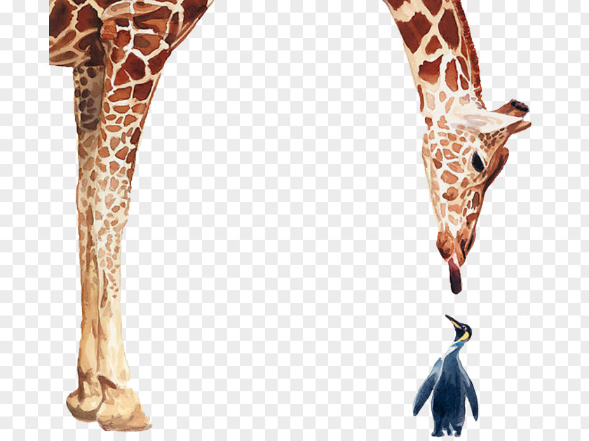 Giraffes And Penguins Realistic Watercolor Penguin Giraffe Bird Poster Painting PNG