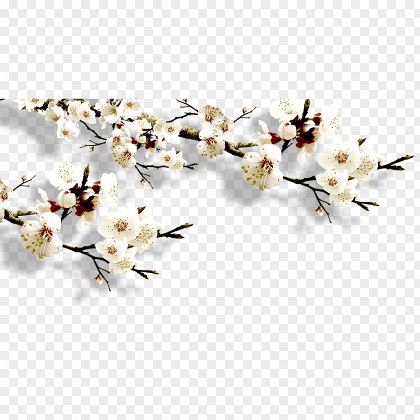 Plum Blossom Download Typeface Template Adobe Illustrator PNG