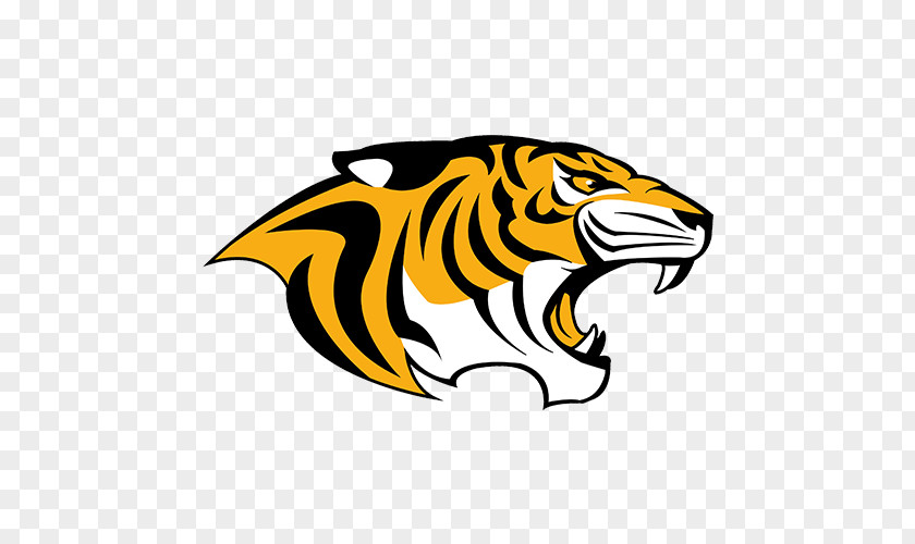 Tiger Detroit Tigers Snyder High School Baseball Auburn Softball PNG