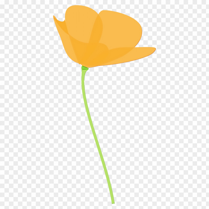 Yellow Flower Leaf Plant Tulip PNG