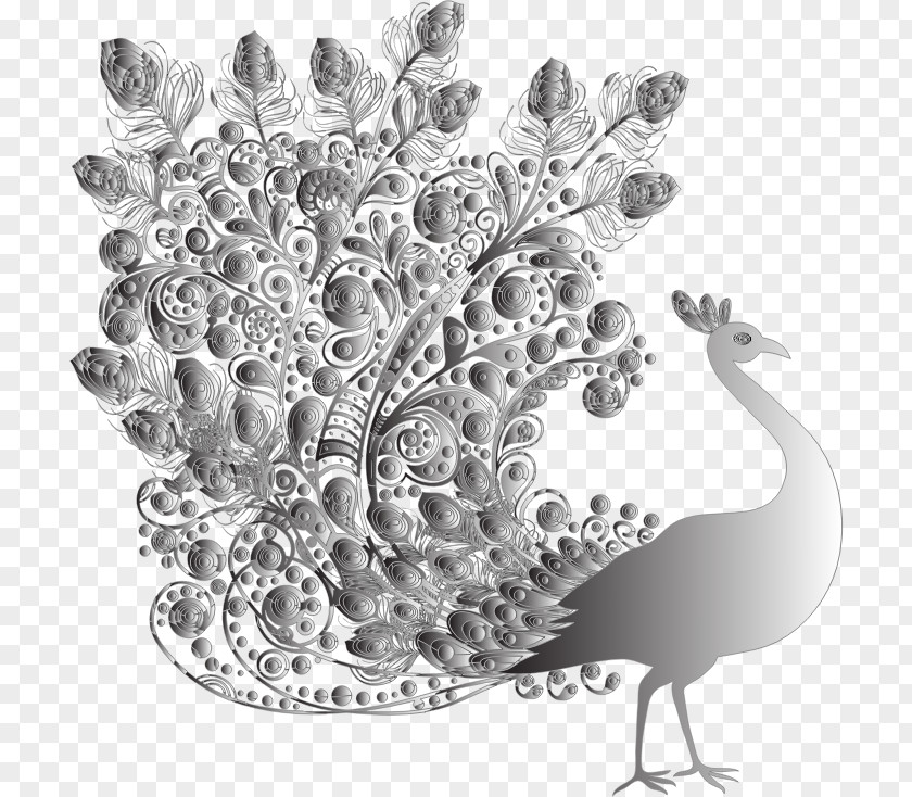 Bird Indian Peafowl Clip Art Image PNG