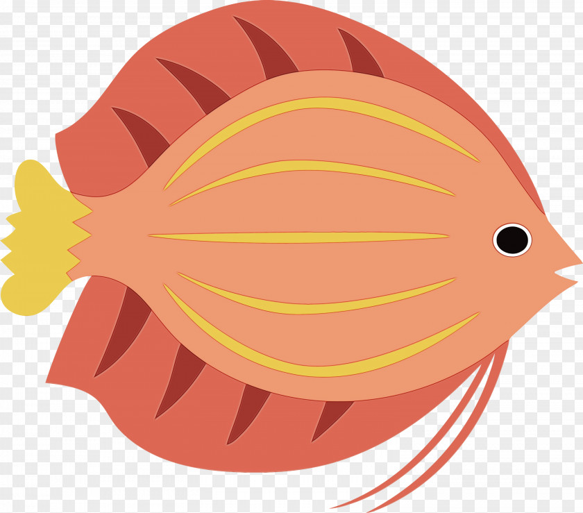 Cartoon Beak Fish Biology Science PNG