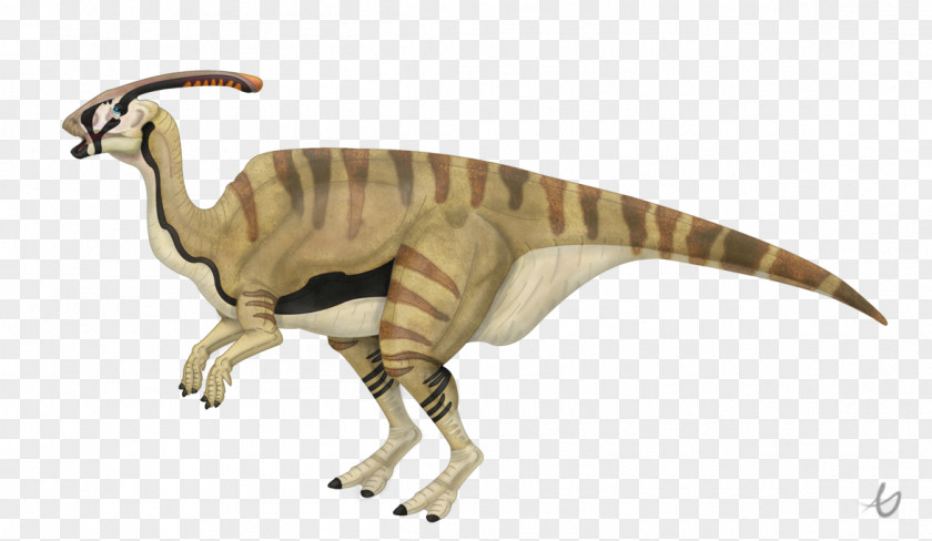 Dinosaur Tyrannosaurus Charonosaurus Late Cretaceous Iguanodon Megalosaurus PNG