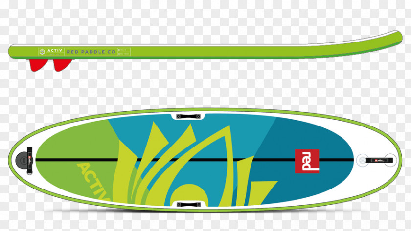 Paddle Standup Paddleboarding Paddling Sport PNG