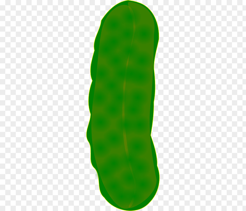 Pickled Cucumber Pickling Clip Art PNG