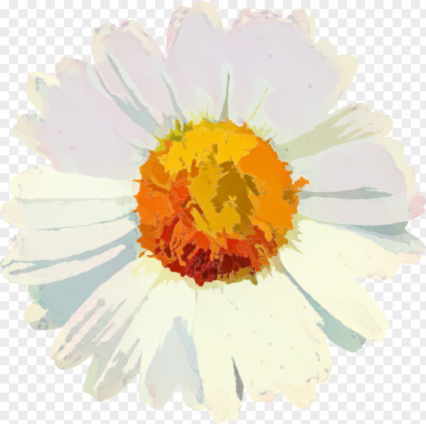 Sunflower Daisy Flowers Background PNG