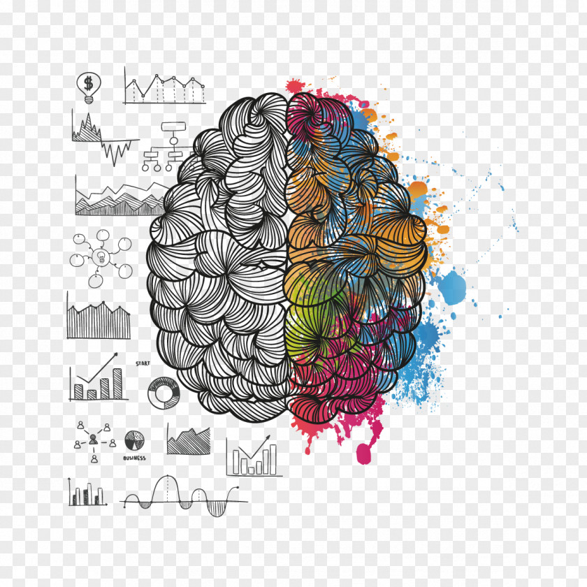 Vector Drawing Brain T-shirt About Your Lateralization Of Function Cerebral Hemisphere PNG