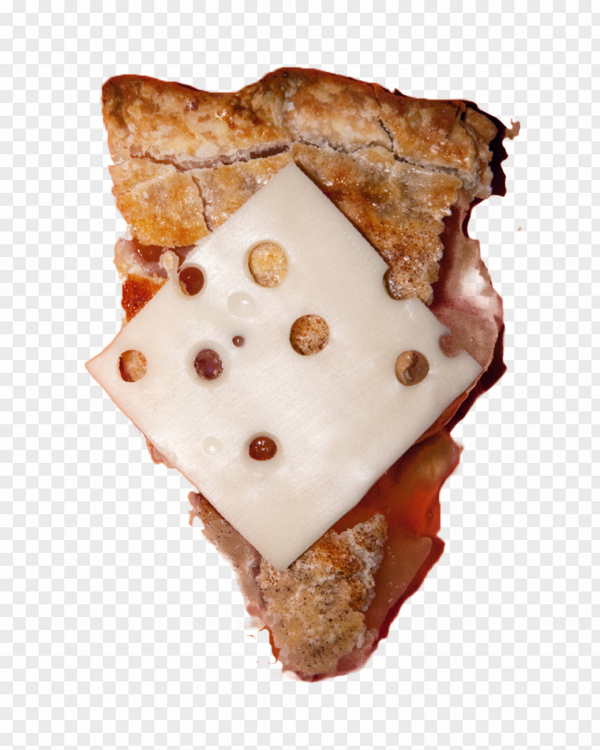 A Small Piece Of Pizza New York City I Fought The Law: Photographs By Olivia Locher Strangest Laws From Each 50 States Dumb Photographer PNG