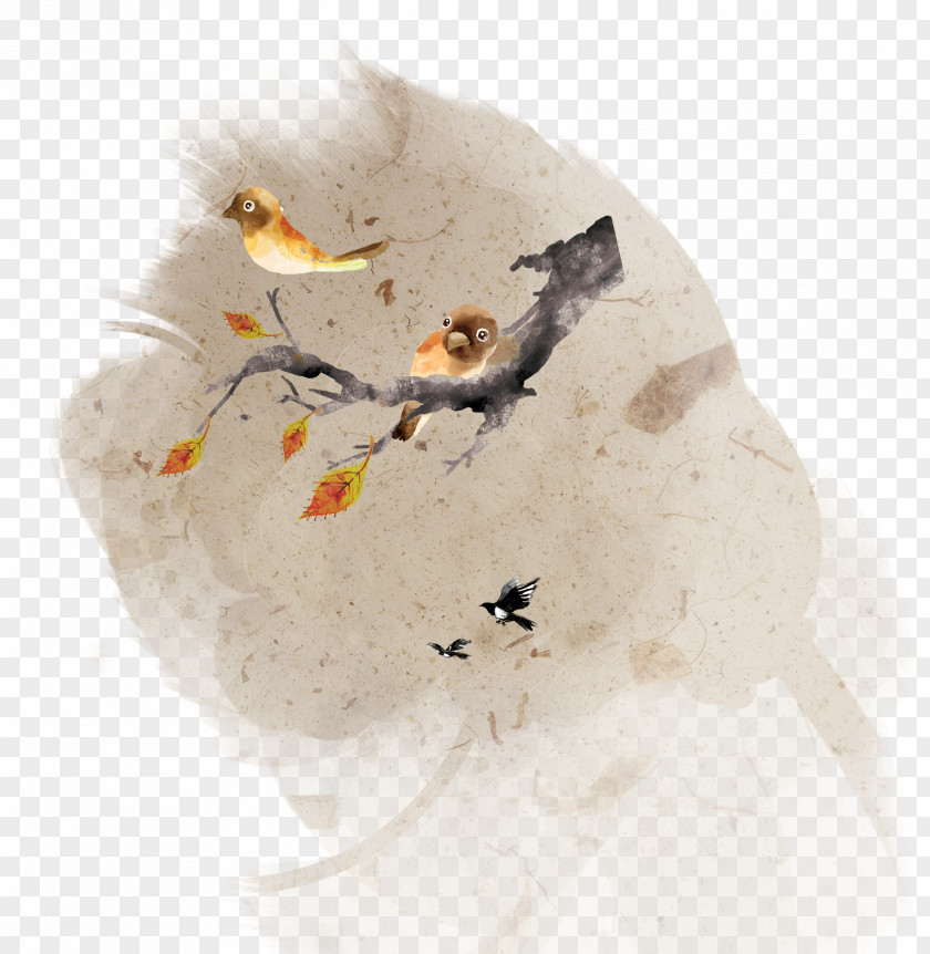 Bird Tree Adobe Illustrator PNG