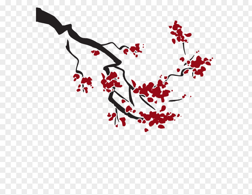 Cherry Blossom Sweet Cerasus Branch PNG
