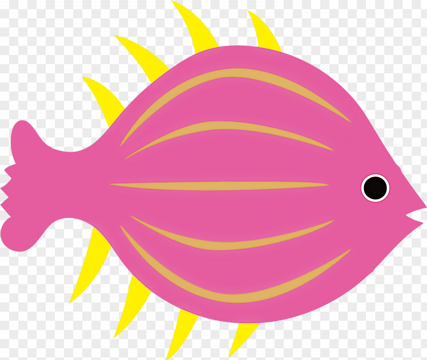 Cartoon Leaf Line Fish Biology PNG