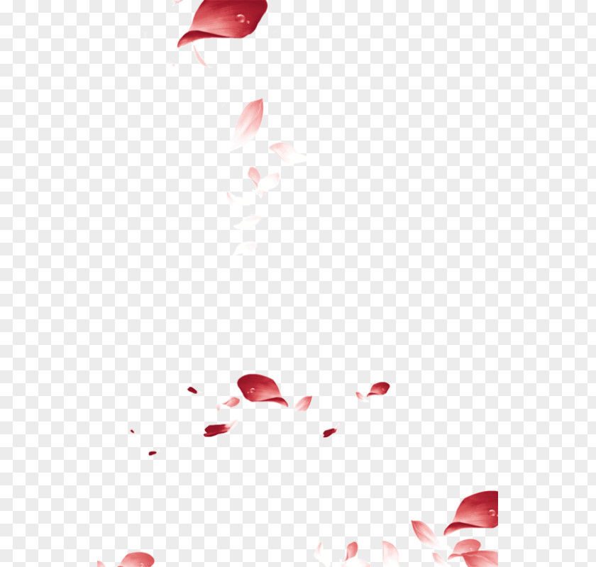 Pink Cherry Blossom Red Petal PNG