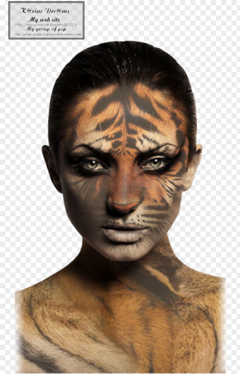 Tiger Stock Photography Woman PNG