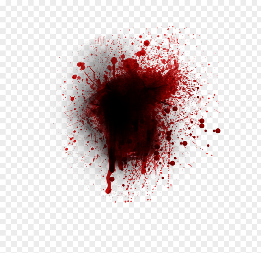 Blood Bloodstain Pattern Analysis Clip Art PNG