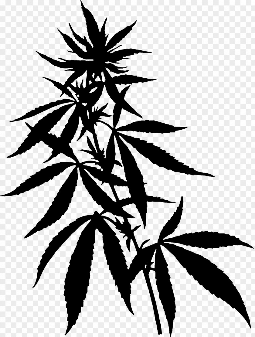 Cannabidiol Cannabis Cannabinoid Tetrahydrocannabinol Hemp PNG