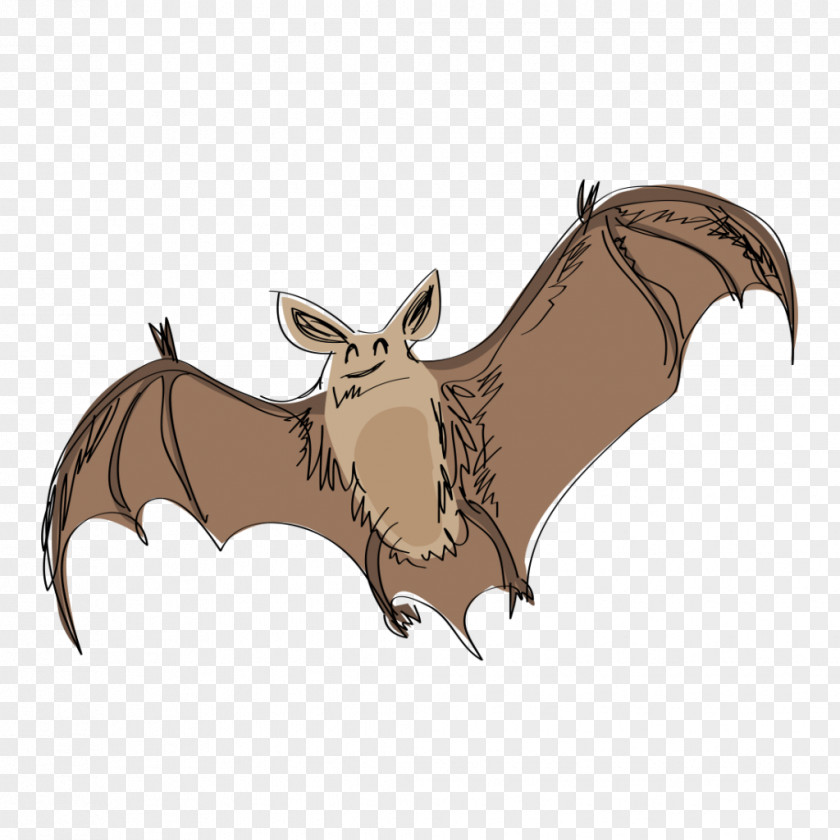 Hand Painted Bat Drawing Cartoon PNG