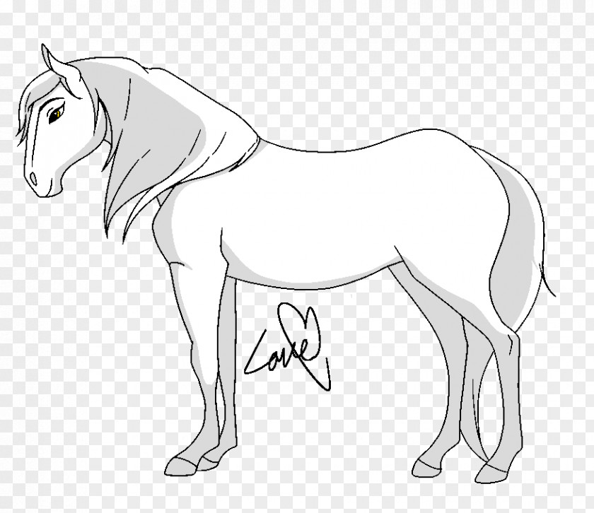 Mustang Mule Bridle Foal Stallion Pony PNG