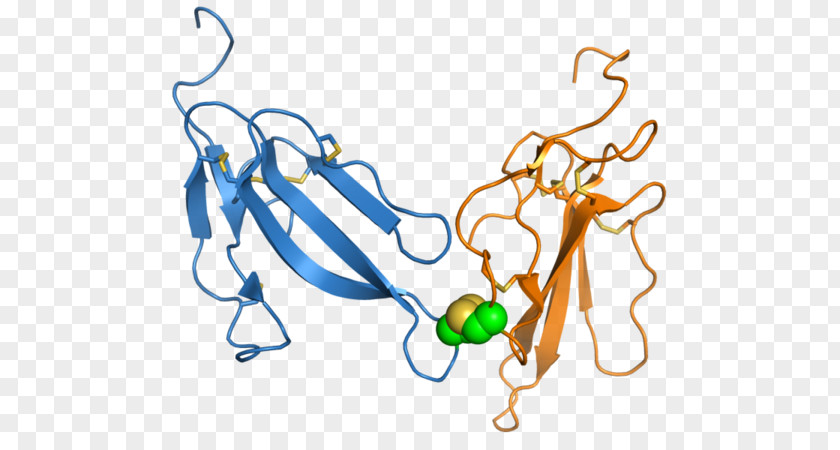 Snake Three-finger Toxin Bungarotoxin Venom Neurotoxin PNG