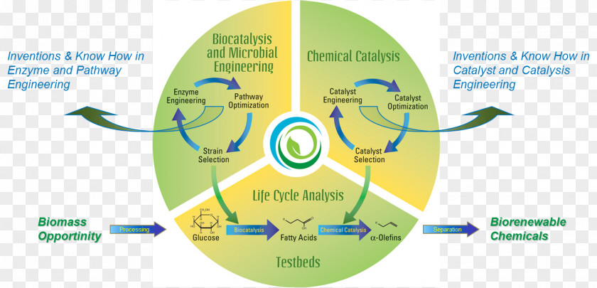 Cecos University Of Information Technology And Eme Bioproducts Biogeochemical Cycle Chemical Substance Catalysis Biological Life PNG