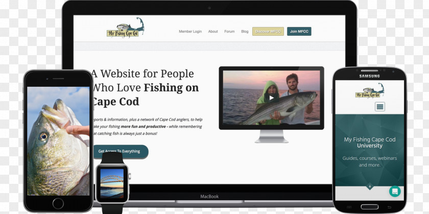 Cod Fish Smartphone Display Advertising Multimedia Electronics PNG