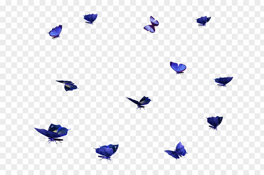 Overlay Butterfly Desktop Wallpaper Display Resolution Clip Art PNG