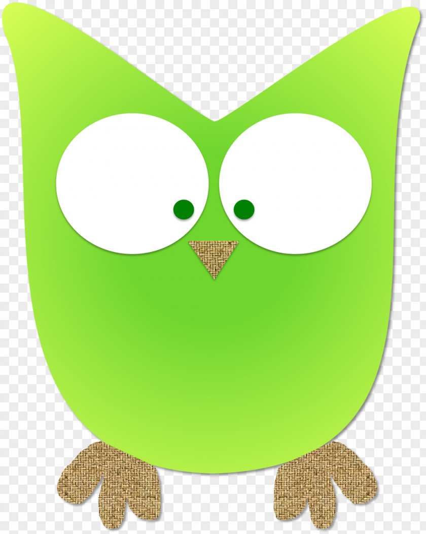 Owl Clip Art Product Beak PNG