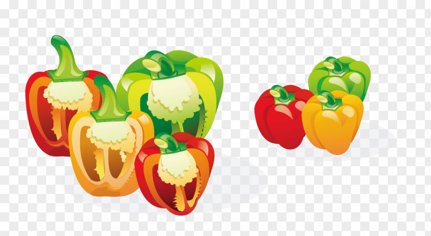 Vegetable Chili Euclidean Vector Fruit PNG